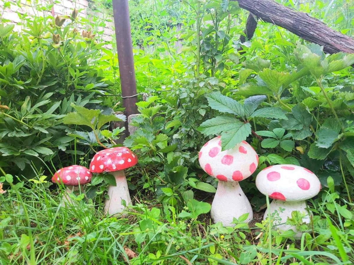 Nitsa Guest House ゴリ エクステリア 写真