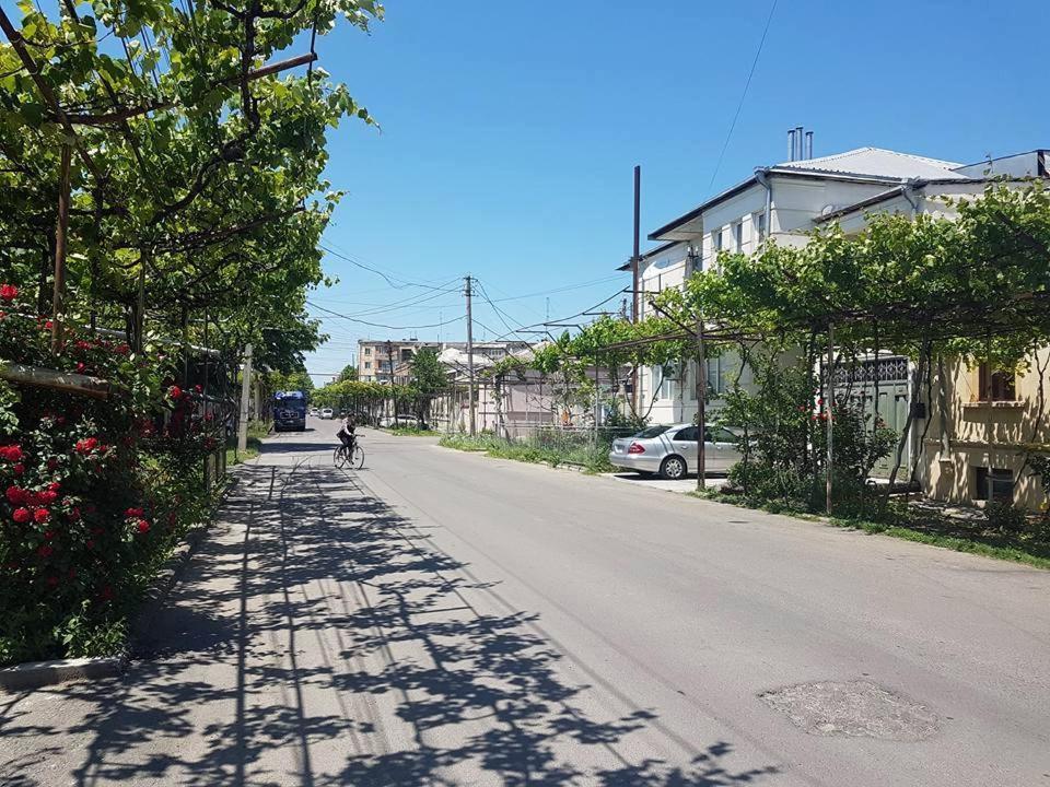 Nitsa Guest House ゴリ エクステリア 写真